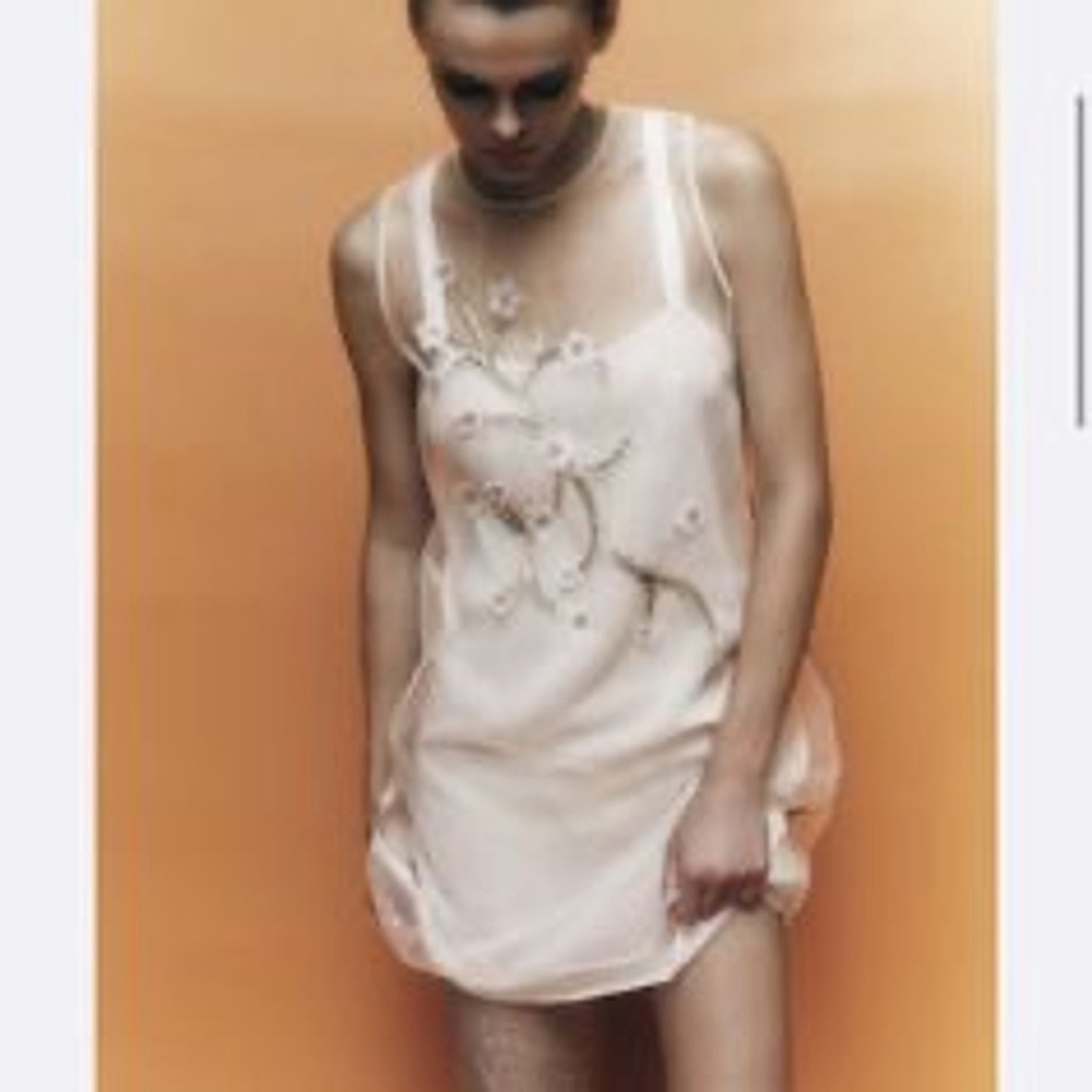 Zara Beige White Floral Embroidered Sheer Mini Dress Small